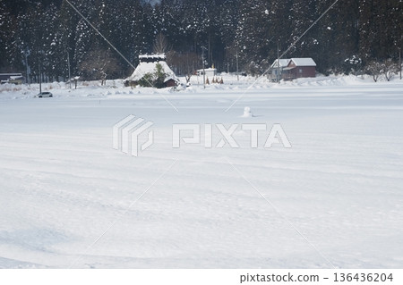 Miyama在雪地裡 136436204
