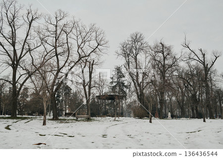 Wide winter landscape of Kalemegdan Park in Belgrade with leafless trees, snow-covered ground and distant pavilion, creating a quiet and open urban park scene Wide winter landscape of Kalemegdan Park in Belgrade with leafless trees, snow-covered ground and distant pavilion, creating a quiet and open urban park scene 136436544