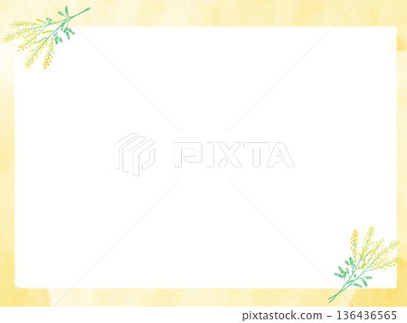 Mimosa watercolor frame Diagonal arrangement of upper left and lower right Spring illustration 136436565