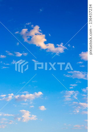 vertical blue sky with white soft clouds. clear atmosphere for summer weather background. peaceful nature on a sunny morning. scenic outdoor pattern for meteorology or idyllic holiday aesthetic 136437234