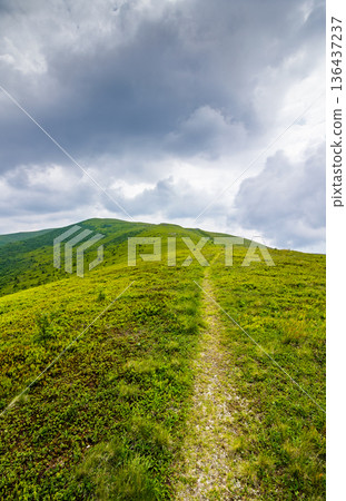 hiking trail through mountain landscape. carpathians under sky with clouds. scenery with green grass and rolling hills. image of remote place for outdoor adventures. concept for wellness and escape hiking trail through mountain landscape. carpathians under sky with clouds. scenery with green grass and rolling hills. image of remote place for outdoor adventures. concept for wellness and escape 136437237