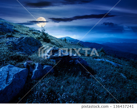 mountain landscape in summer at night. alpine scenery with steep grassy slope under blue sky in full moon light. beautiful view of coniferous tree near rock formations among lush grass. remote place 136437241