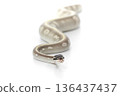 Mystic Potion Ball Python Crawling on White Background 136437437