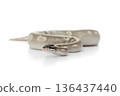 Mystic Potion Ball Python Coiled on White Background 136437440