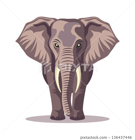 Majestic African elephant, front view. Elephant mammal isolated on white background. Illustration. Majestic African elephant, front view. Elephant mammal isolated on white background. Illustration. 136437446
