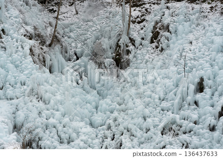 Ice pillar of ragwood 136437633