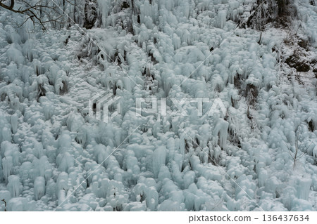 Ice pillar of ragwood 136437634