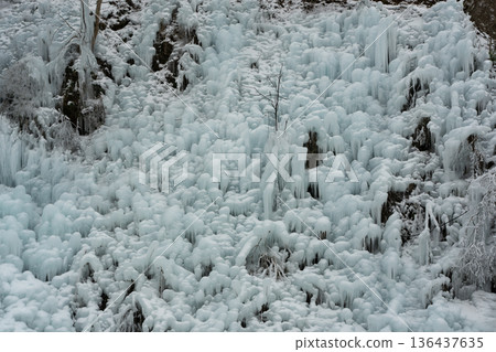 Ice pillar of ragwood 136437635