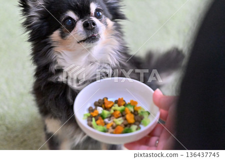 專為老年犬設計的優質狗糧,並添加蔬菜和營養補充劑 專為老年犬設計的優質狗糧,並添加蔬菜和營養補充劑 136437745
