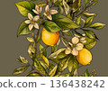 Lemons and tea botanical seamless pattern 136438242