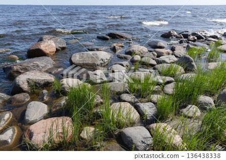 Rugged rocky shoreline of Ladoga lake with green grass Rugged rocky shoreline of Ladoga lake with green grass 136438338