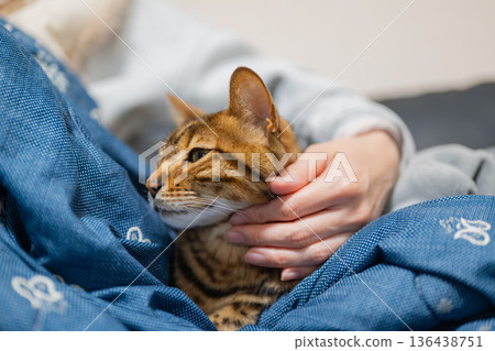 A cat relaxing with its owner 136438751