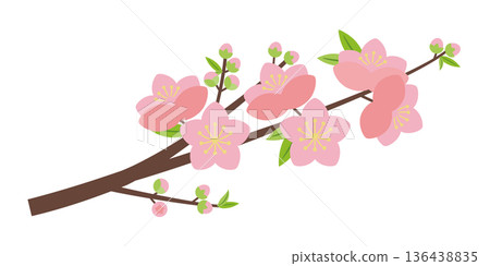 簡單的桃花枝 簡單的桃花枝 136438835