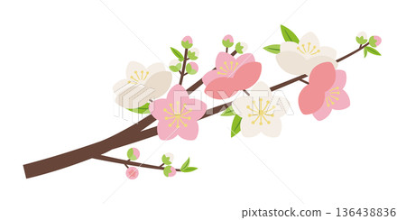 Simple Genpei peach blossom branch 136438836