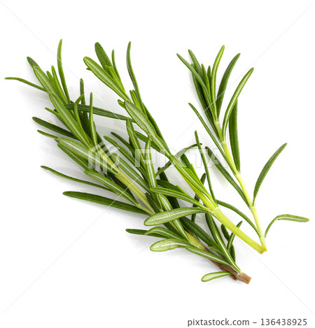 Rosemary leaf herbal is spices isolated on a white background. 136438925