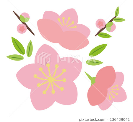 桃花和桃苞 桃花和桃苞 136439041