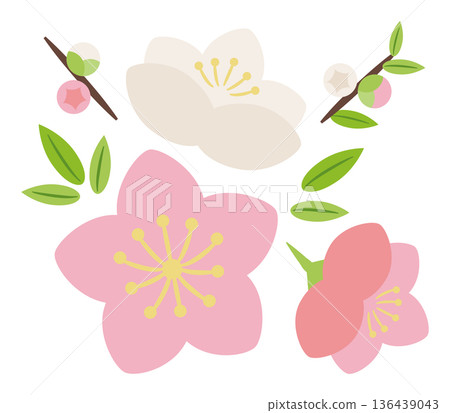 Genpei peach blossoms and buds 136439043