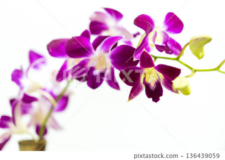 Denfare Denfare 136439059