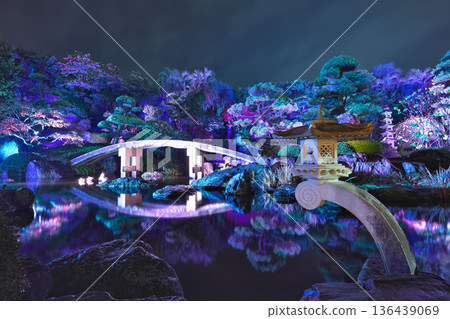 Light-up of "Amami no Sato" in Kagoshima City Light-up of "Amami no Sato" in Kagoshima City 136439069