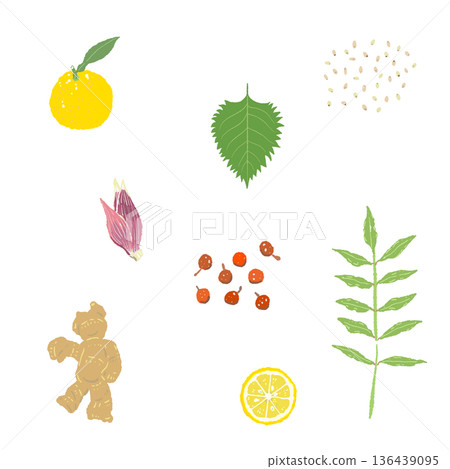 Ginger, yuzu and myoga pattern background illustration Japanese style all-over pattern material of aromatic vegetables 136439095