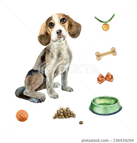 Beagle dog sitting next to a bowl, food, bone, toys and a bow. Hand drawn watercolor illustration. Vector clip art for cards, invitations, food labels and toys. Suitable for posters and banners. Beagle dog sitting next to a bowl, food, bone, toys and a bow. Hand drawn watercolor illustration. Vector clip art for cards, invitations, food labels and toys. Suitable for posters and banners. 136439204