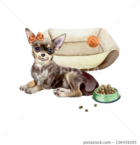 Chihuahua with a red bow lying next to a bed and a bowl of dog food. Hand drawn watercolor illustration. Vector clip art for postcards, food labels and toys. Suitable for banners for dog shows. 136439205