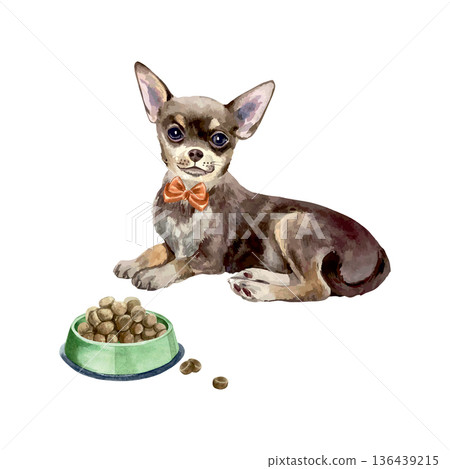 Chihuahua with a red bow lying next to a bowl of dog food. Hand drawn watercolor illustration. Vector clip art for postcards, food labels and toys. Suitable for banners for dog shows. 136439215