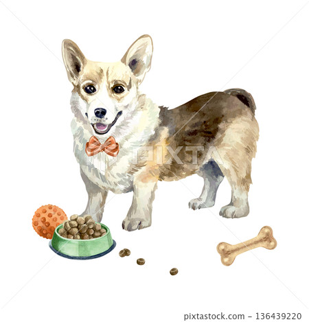 Corgi dog standing next to a bowl of dog food, a red ball and a bone. Hand drawn watercolor illustration. Vector clip art for postcards, food labels and toys. Suitable for banners for dog shows. Corgi dog standing next to a bowl of dog food, a red ball and a bone. Hand drawn watercolor illustration. Vector clip art for postcards, food labels and toys. Suitable for banners for dog shows. 136439220