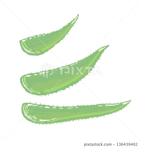 Illustration of cut aloe vera leaves. Material of three harvested leaves. Illustration of cut aloe vera leaves. Material of three harvested leaves. 136439402