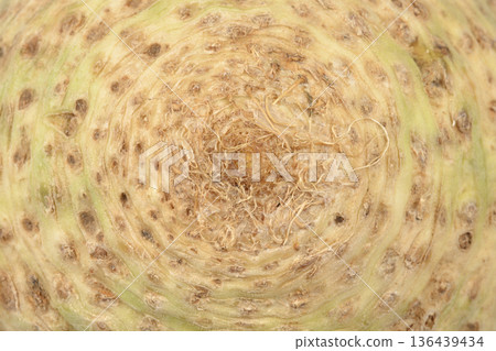 Macro shot of celeriac root texture 136439434