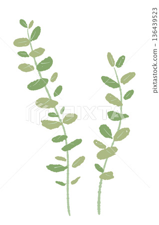 圖示兩種尤加利樹枝，以及不同葉形的綠色植物。 136439523