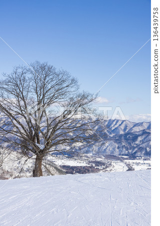 長野縣白馬村八方尾根滑雪場景色 長野縣白馬村八方尾根滑雪場景色 136439758