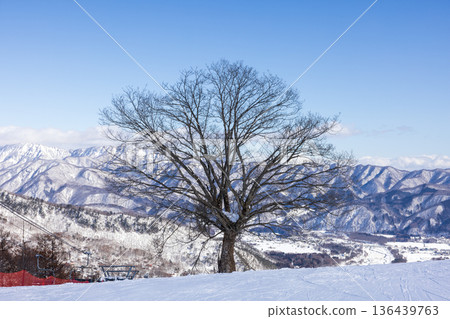 View of Happo-one Ski Resort in Hakuba Village, Nagano Prefecture View of Happo-one Ski Resort in Hakuba Village, Nagano Prefecture 136439763