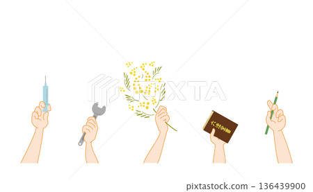 Mimosa and gender gap illustration Mimosa and gender gap illustration 136439900