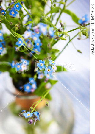Beautiful fresh forget-me-not flowers in glass vase, top view, soft focus 136440188