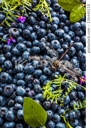 Top view of fresh ripe summer blueberries and dragonfly as a background Top view of fresh ripe summer blueberries and dragonfly as a background 136440218