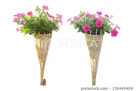 Flower in bamboo pot isolated with clipping path 136440409