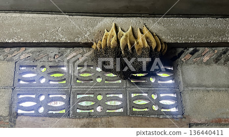 Honeycomb attached to concrete block wall 136440411