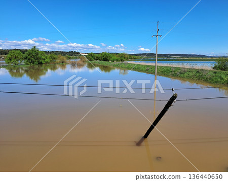 The impact of floods in Portugal in 2026, when rivers overflow and inundate agricultural fields The impact of floods in Portugal in 2026, when rivers overflow and inundate agricultural fields 136440650