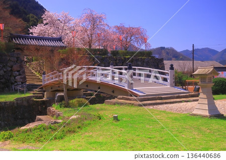 Izushi Castle Ruins (Toyooka City, Hyogo Prefecture) Castle Bridge and Gate - Cherry blossoms in full bloom Izushi Castle Ruins (Toyooka City, Hyogo Prefecture) Castle Bridge and Gate - Cherry blossoms in full bloom 136440686