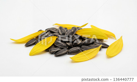 Small mound of sunflower seeds and a few petals on a white background Small mound of sunflower seeds and a few petals on a white background 136440777