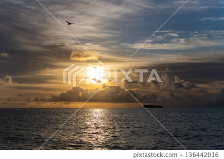 Dramatic sunrise. Sea sunrise on summer beach. Sunset seascape at summer vacation. Sunrise with sea beach. Dramatic horizon sea view on sunset. Romantic summer vacation at seascape. Ship silhouette Dramatic sunrise. Sea sunrise on summer beach. Sunset seascape at summer vacation. Sunrise with sea beach. Dramatic horizon sea view on sunset. Romantic summer vacation at seascape. Ship silhouette 136442016