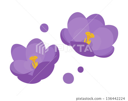 可愛的番紅花插畫素材 可愛的番紅花插畫素材 136442224