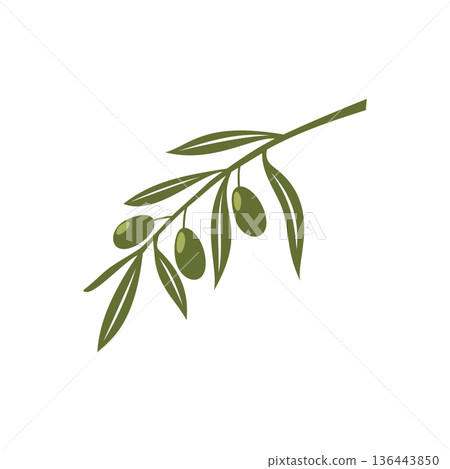Green Olive Branch Icon Vector Logo Template 136443850