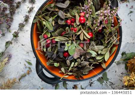 wild forest heather and cowberry berries and leaves. top view. close up wild forest heather and cowberry berries and leaves. top view. close up 136443851