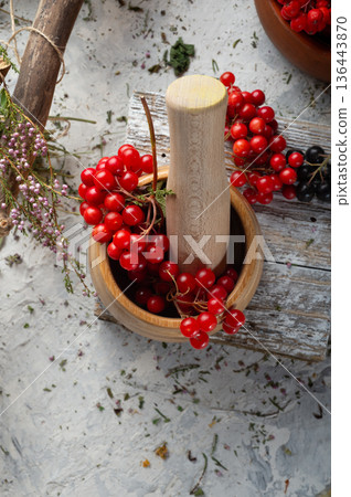 ripe red viburnum with pestle and mortar around dry medicine herbs at white background. top view 136443870