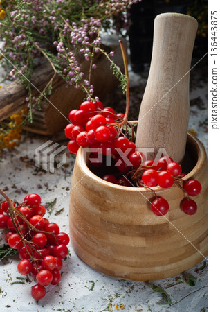 ripe red viburnum in mortar  with pestle and forest heather at white background. top view 136443875