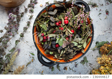 wild forest heather and cowberry berries and leaves.. top view. close up wild forest heather and cowberry berries and leaves.. top view. close up 136444617