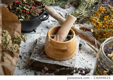 wooden pestle and mortar around dry medicine herbs at white background. top view wooden pestle and mortar around dry medicine herbs at white background. top view 136444619