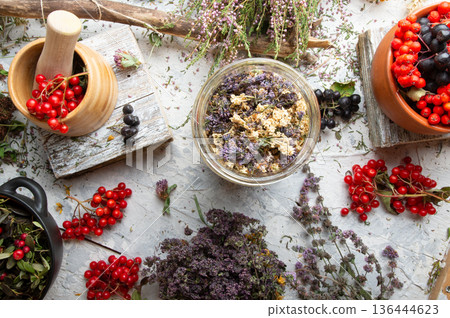 wild dry medicine herbs and cowberry, rowan, viburnum berries at white background. top view wild dry medicine herbs and cowberry, rowan, viburnum berries at white background. top view 136444623